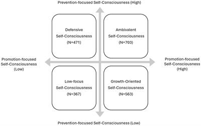 Development and validation of the self-consciousness type scale
